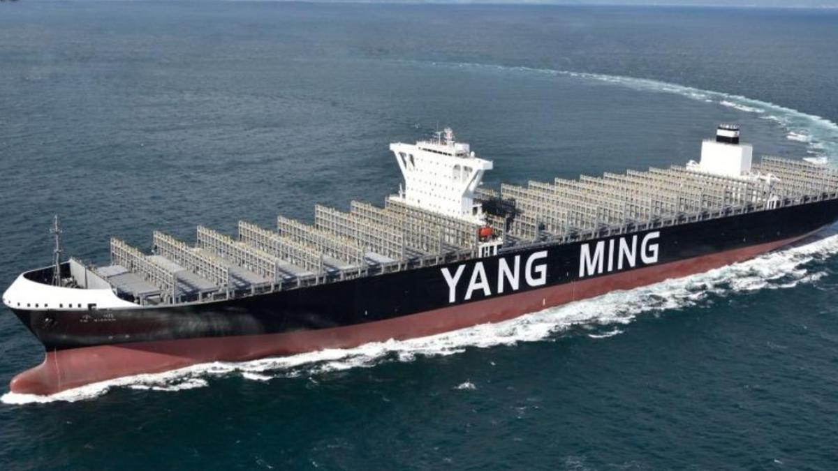 航海王揚帆!萬海強彈8%創波段新高 陽明爆11萬張、外資狂掃