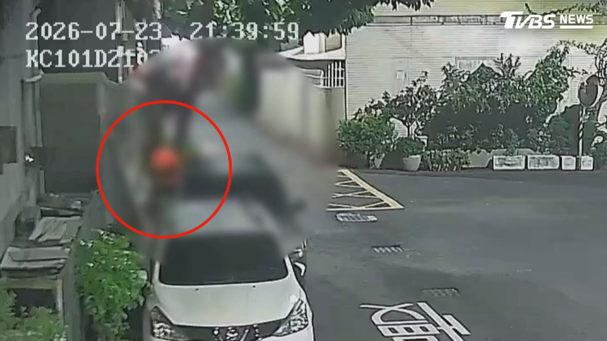 鳳山義警丟石傷狗 近1月後不治身亡