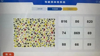 換駕照遇「魔王級」色盲檢測圖!連AI都答錯 真實數字曝光