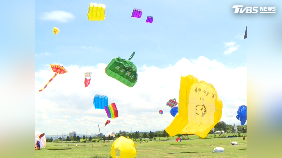 (圖/TVBS)