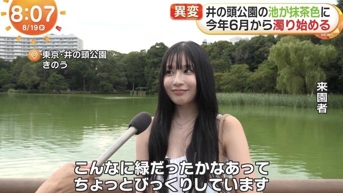 生態新聞大歪樓!日電視台街訪意外釣出混血女神 全網暴動