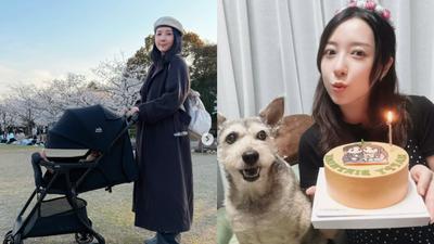 五熊朝日本國寶潑油!罰10萬台幣獲釋 日網怒了:判太輕