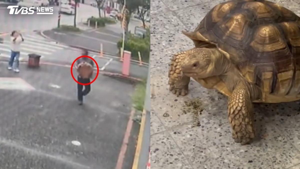 蘇卡達象龜疑走失 員警幫洗澡手忙腳亂