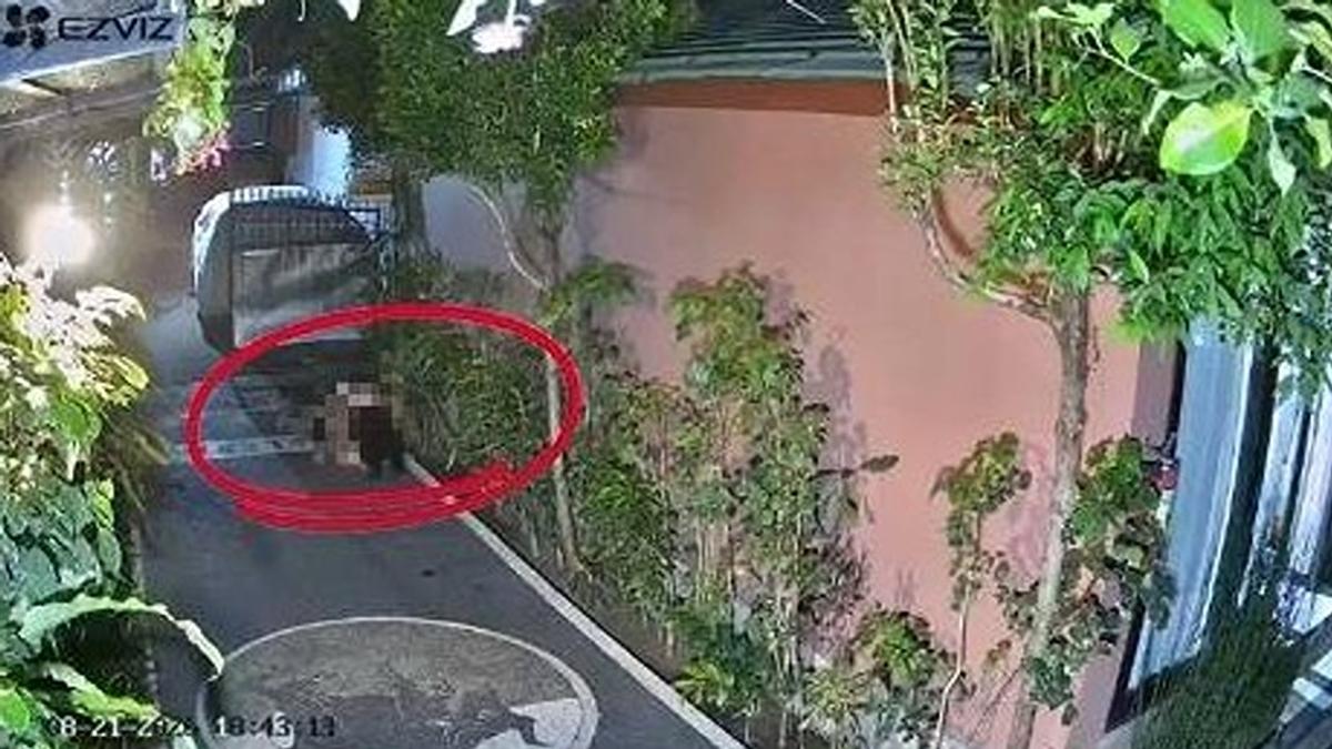 傻眼!澳男「民宅院子野戰」15分鐘全被拍 屋主氣炸驅邪