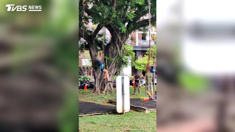 獨家/頭盔吊帶齊全懸掛樹上!3男稱備考攀樹師 無視禁令恐罰3千