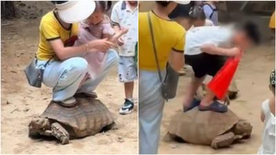 超沒品!中國媽把動物園象龜「當腳踏墊」 兒子有樣學樣遭炎上