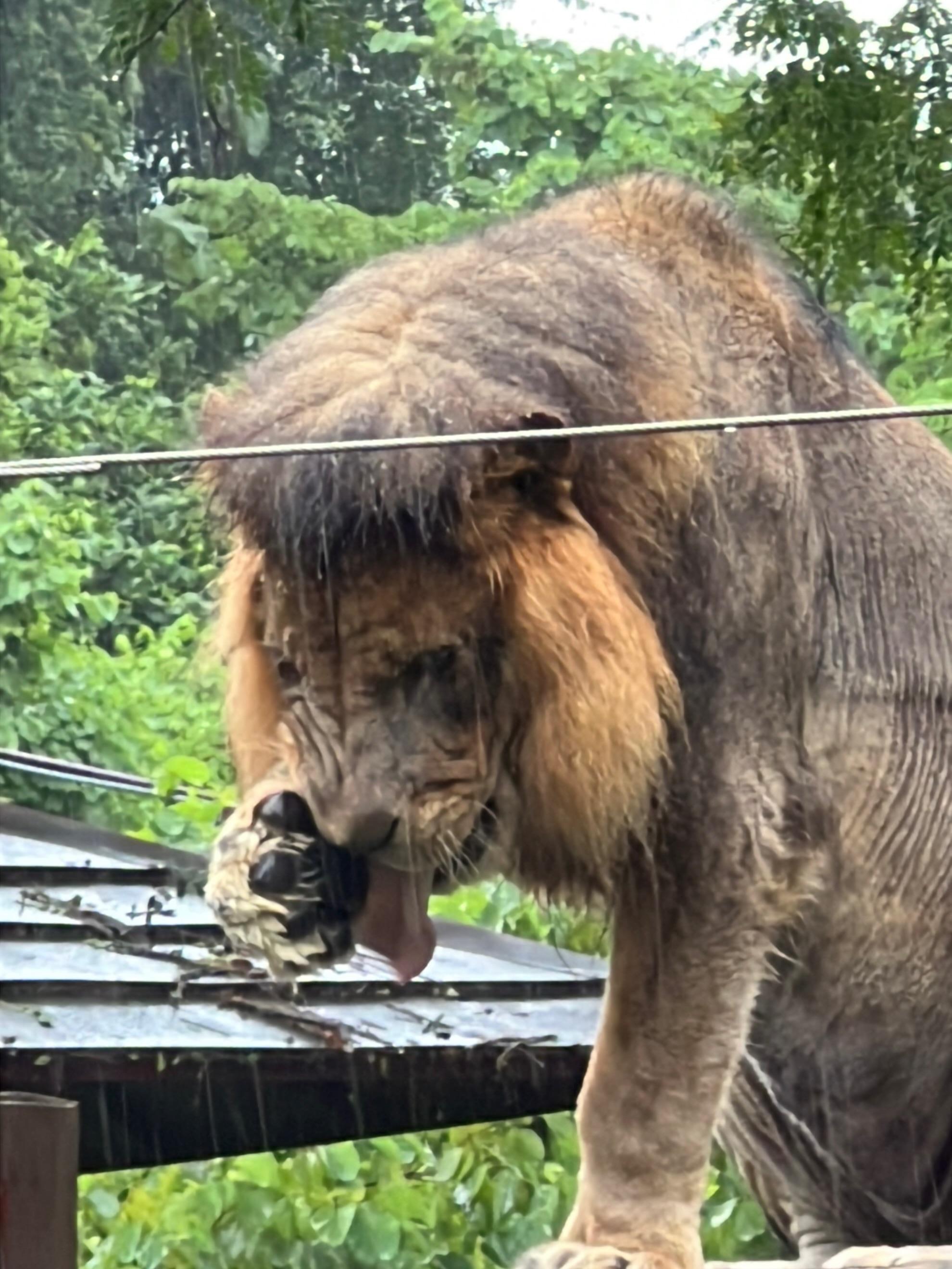 壽山動物園