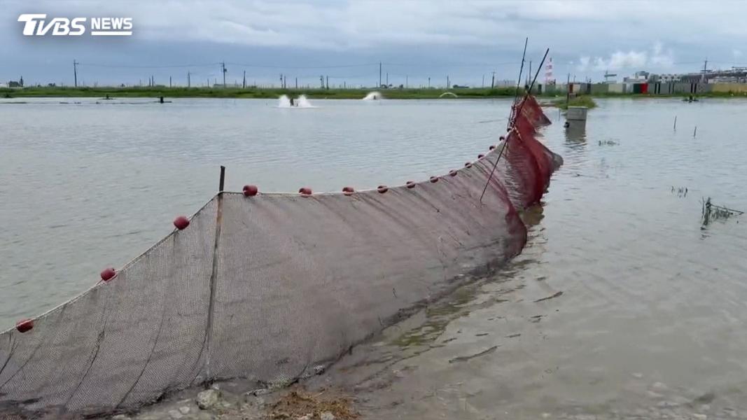 雨勢太大且持續不停,抽水機根本抽不及,魚會隨著雨水跑出去、跑不見,至於會不會死亡,要看每個人魚塭的情形(圖/TVBS)
