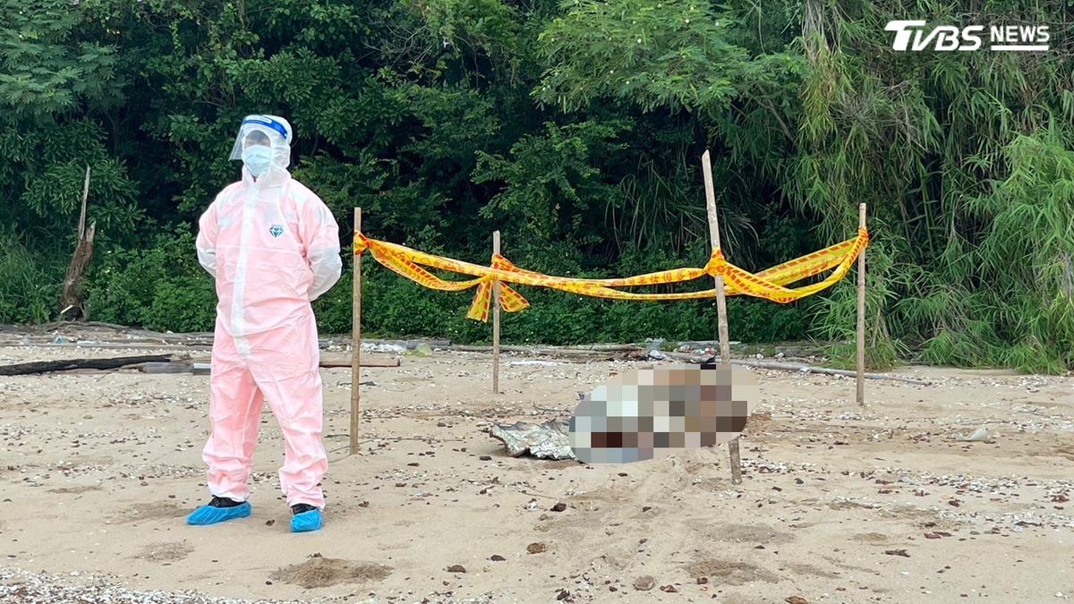 金門拉警報!海漂死豬驗出非洲豬瘟 豬肉急停輸台至8/31