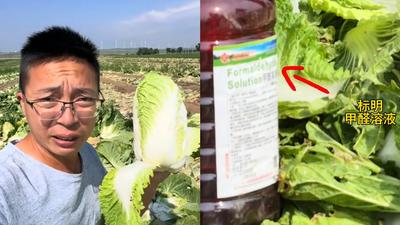 河北爆「甲醛毒白菜」!陸網紅揭菜販黑幕 專家授2招自保