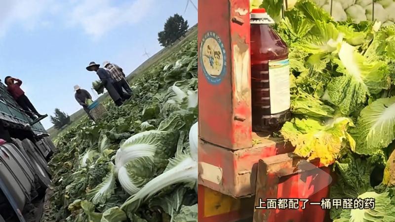 福馬林白菜恐流入台灣?醫示警「具強烈致癌性」:低濃度民眾難分辨