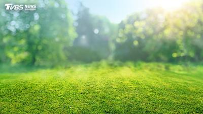 處暑後「秋老虎」發威!醫曝3大身體變化 1茶1羹1粥養生法