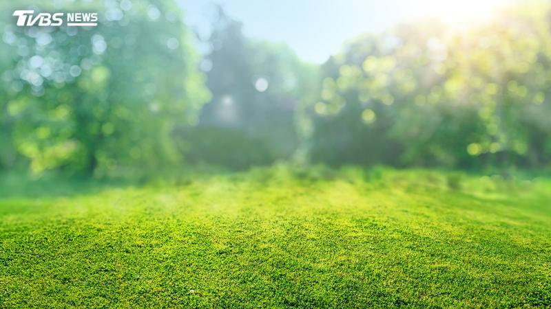處暑後「秋老虎」發威!醫曝3大身體變化 1茶1羹1粥養生法