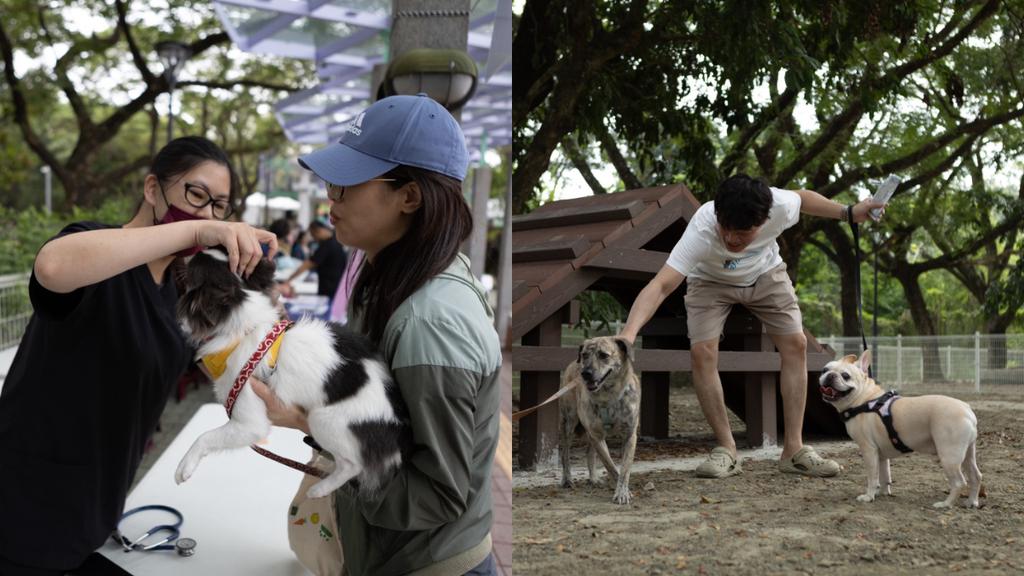 台南市斥資超過4億打造的「學甲多功能教育園區」以動物福利優先、生命教育扎根為核心願景。(圖/翻攝自台南市政府)