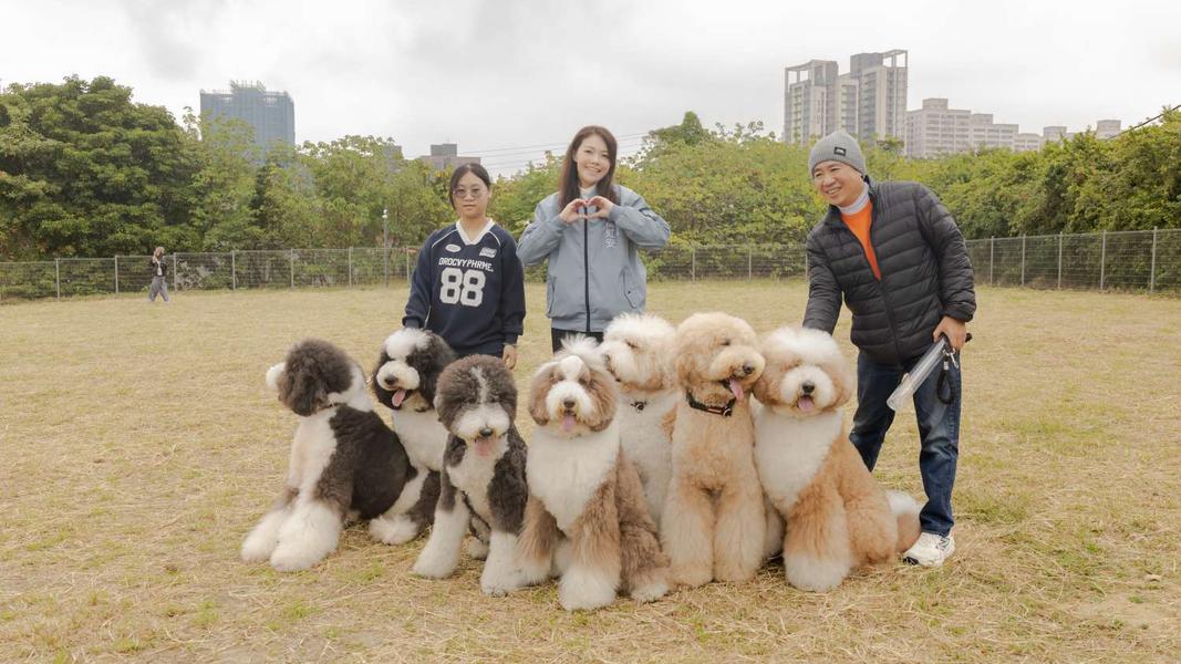 新竹市今年正式啟用的「樹林頭狗狗公園」,希望達成「一區一寵物公園」的目標。(圖/翻攝自新竹市政府)