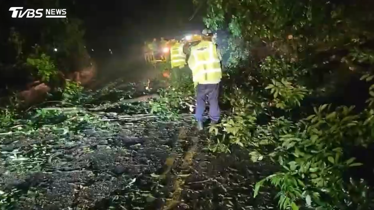 連日大雨!台14線扛不住 土石、路樹狂瀉「淹沒」路面