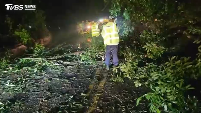 連日大雨!台14線扛不住 土石、路樹狂瀉「淹沒」路面