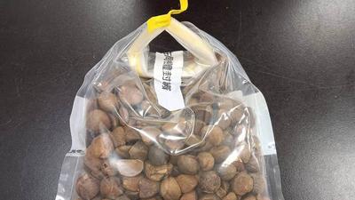 「春木苦茶油」苯駢芘超標!業者自主送驗 彰化衛生局令停工下架