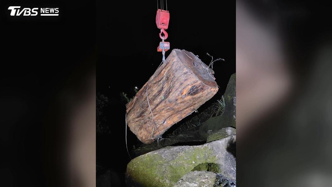 車斗上綁著一條長長的鋼索,準備要拉走一支巨大的台灣肖楠木頭。(圖/TVBS)