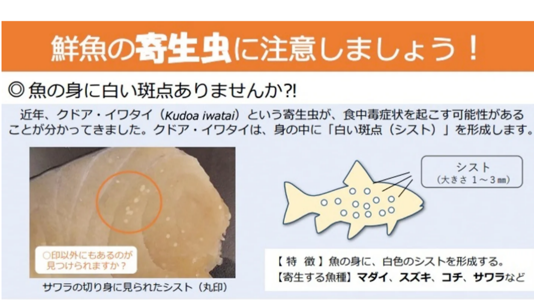 (圖/其他)