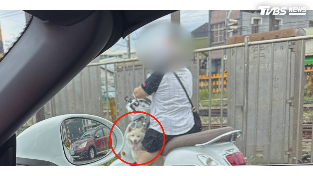 待平交道恢復正常通行後,飼主才騎著機車到對面接回毛小孩(圖/翻攝Threads@a6281664)