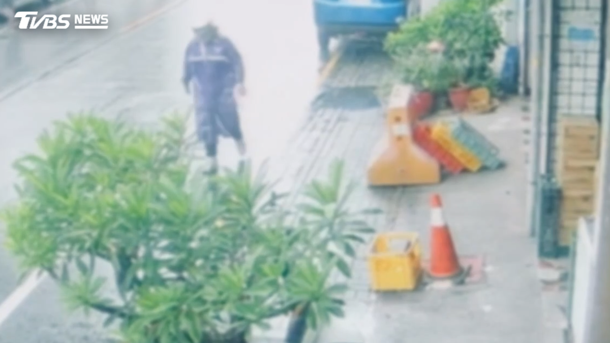 背影曝光!台南周氏蝦捲遭狂潑「上百活蟑螂」 遍地亂竄顧客嚇壞