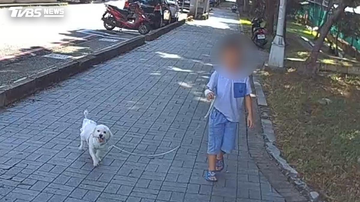 「安靜準沒好事?!」6歲童趁媽午睡溜狗去!獨闖1公里警急尋獲