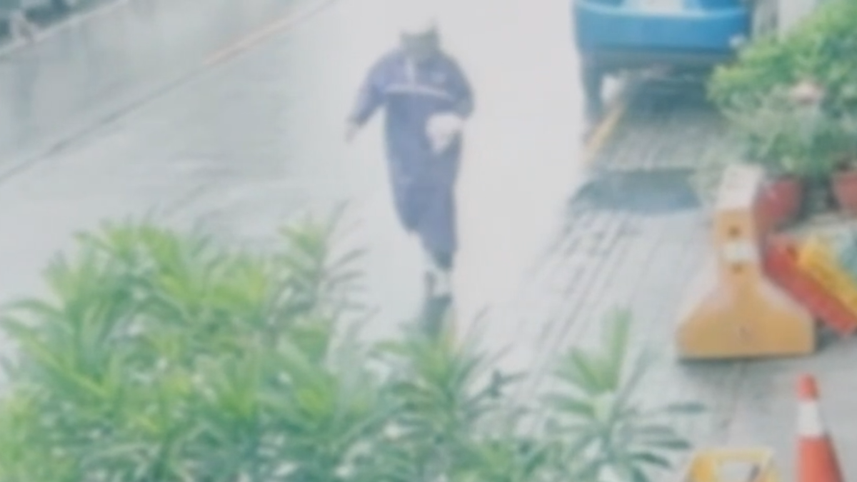 周氏蝦捲遭潑上百隻蟑螂 停業消毒