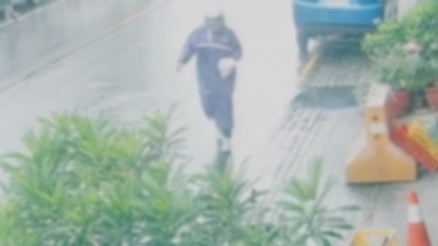 雨衣男有備而來! 全身包得密不透風丟蟑螂 警鎖定30歲男