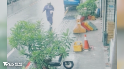 百隻「活蟑螂」撒櫃檯!台南男遭聲押 法院裁定3萬元交保