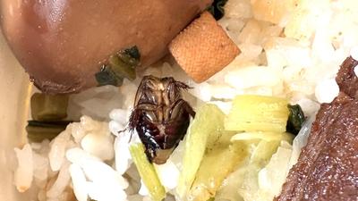 台鐵便當吃到「半截蟑螂屍」男星吐了 官方緊急道歉