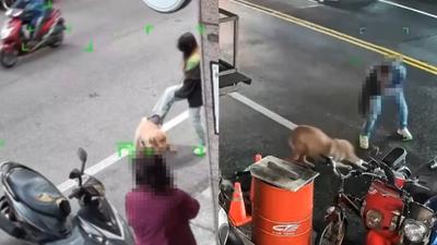 中壢機車行涉虐狗出腳猛踹 飼主喊冤:一年前小孩不懂事