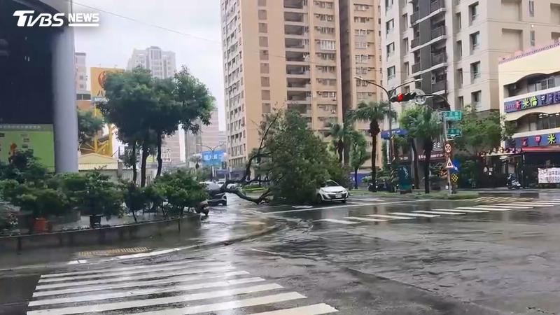 高雄8月總雨量1712毫米,也造成樹倒等災情。(圖/TVBS)