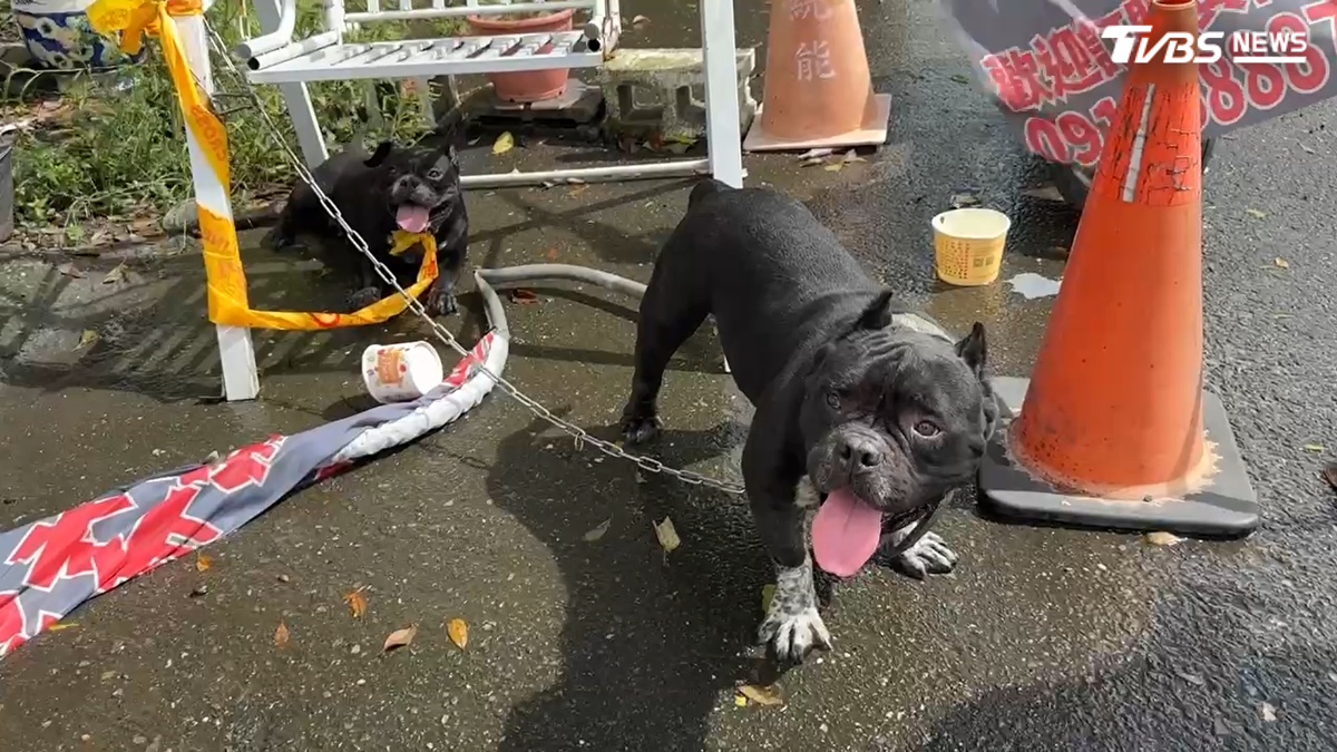 倉庫大火3惡霸犬葬身 鋰電池肇禍