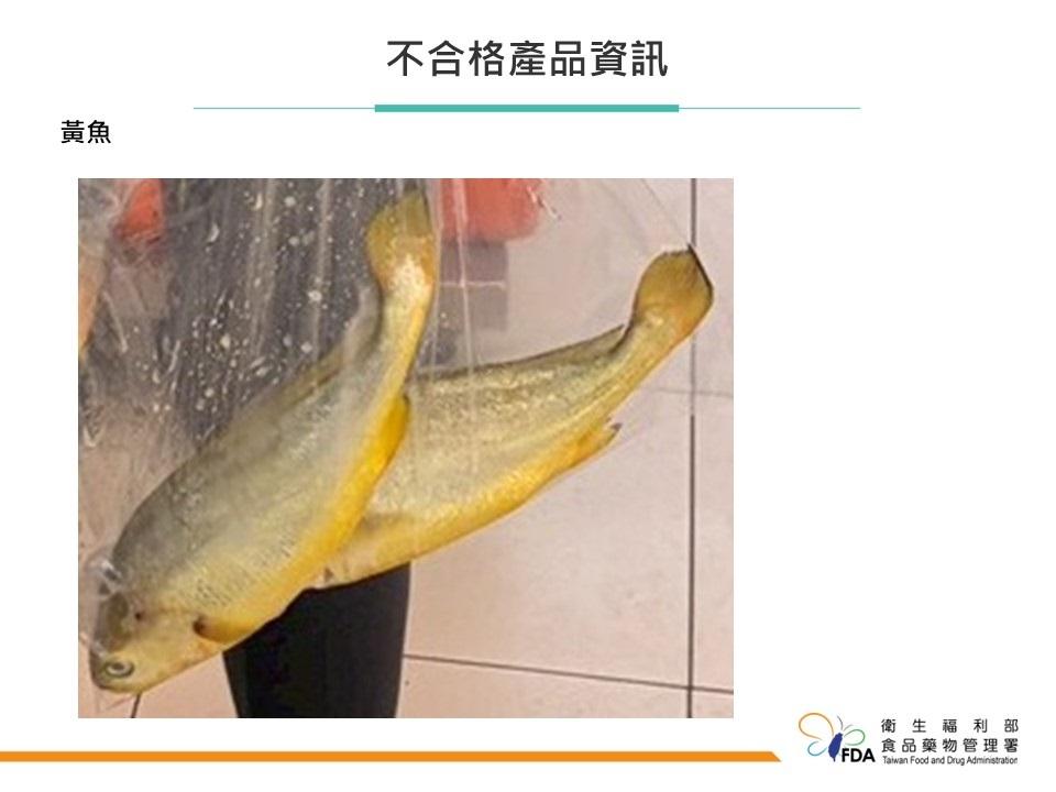 其中一件違規的黃魚,加重裁罰至12萬。(圖/食藥署提供)
