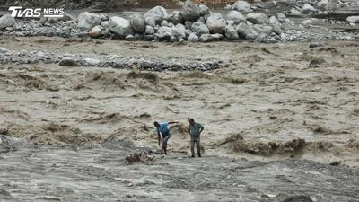 尼泊爾洪水退去竟沖出「成人身高巨魚」!印度民眾搶吃下場慘