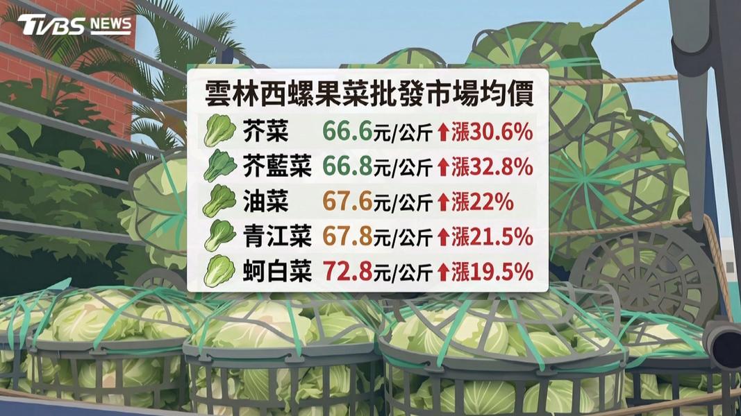 豪雨狂炸南台灣農損逾2.3億(圖/TVBS)