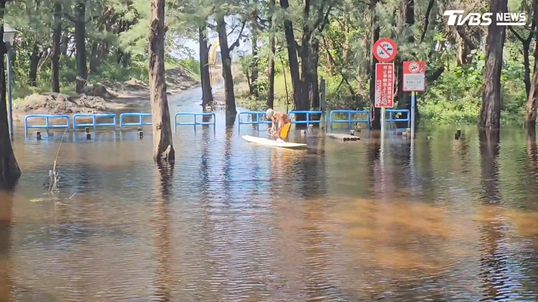 連日大雨導致防風林整片積水,被網友封為「漁光島版的忘憂森林」(圖/TVBS)