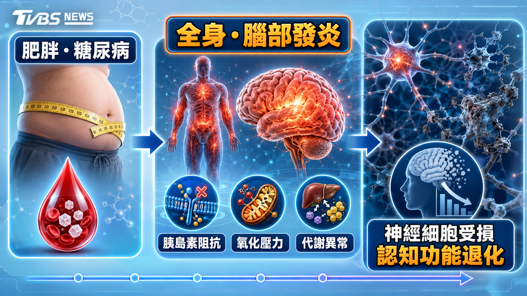 注意!腰圍過粗不只傷心血管!醫揭罹「這疾病」風險恐跟著升高(圖/TVBS)