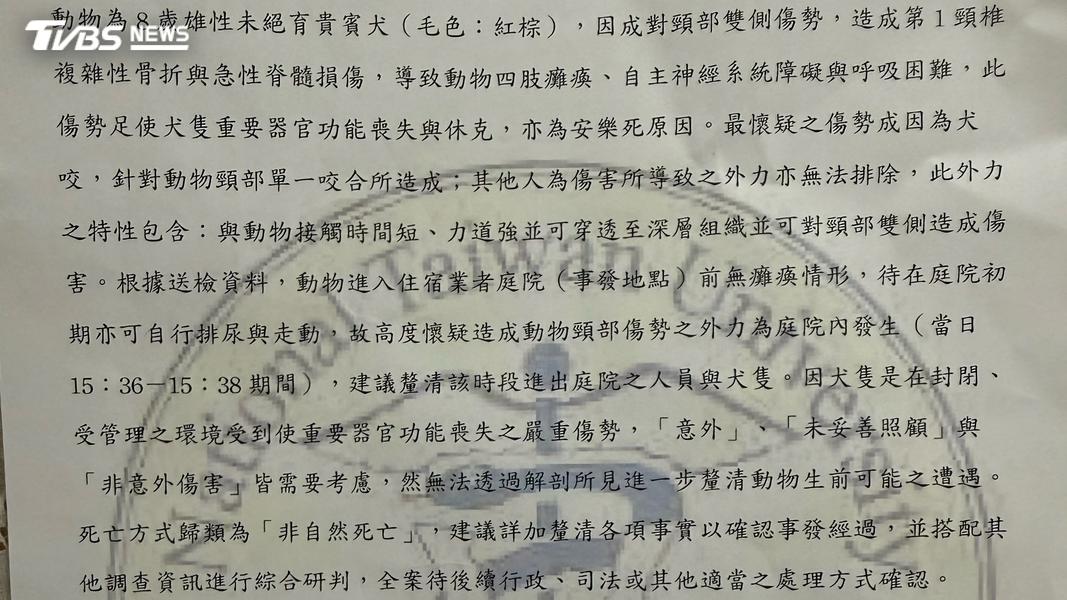 貴賓狗跳跳送寄宿身亡,飼主痛心解剖釐清死因,鑑定報告指出「最懷疑傷勢成因為犬咬」。(圖/TVBS)