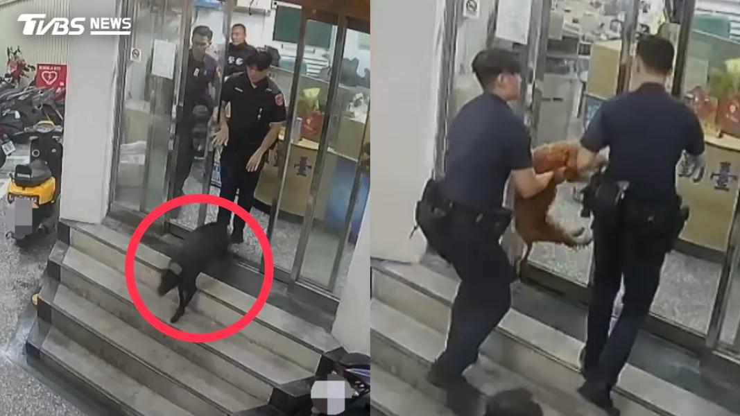 警犬