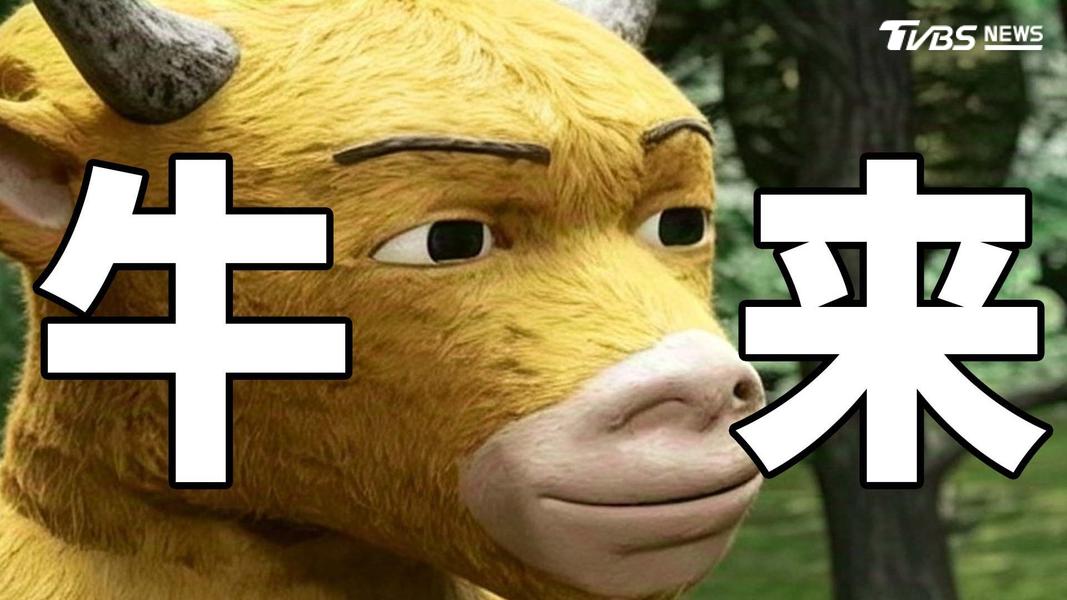 (圖/《牛來》官網)