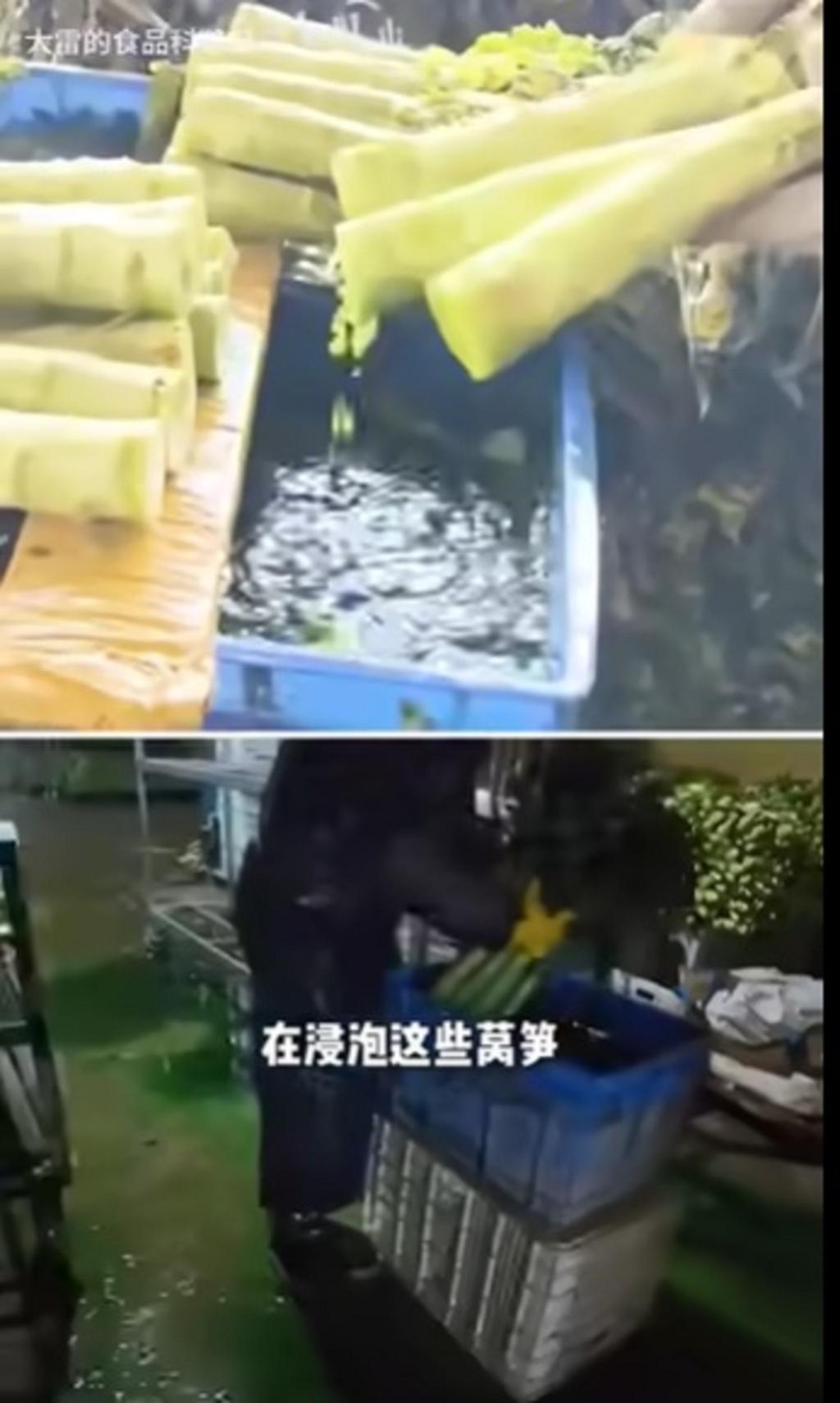 中國部落客「大雷的食品科普日常」揭發，甘肅榆中縣有商販違規在萵筍使用著色劑。（圖／翻攝「大雷的食品科普日常」bilibili）