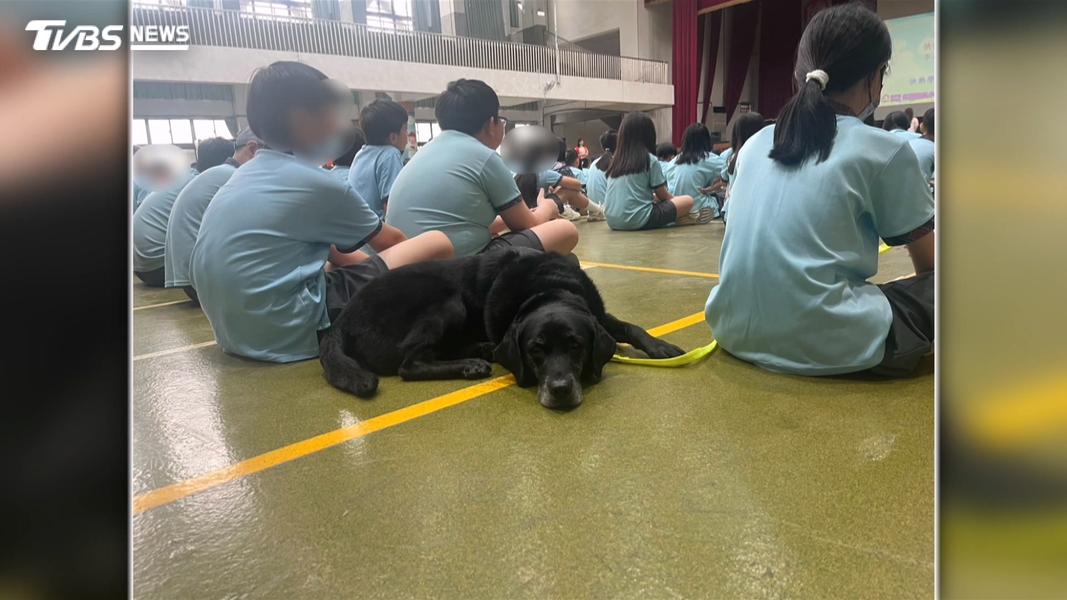 搜救犬Melody退役後進校園 展現超強「療癒力」(圖/認養人提供)