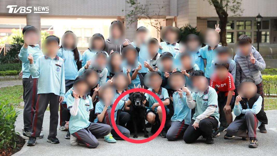 搜救犬Melody退役後進校園 展現超強「療癒力」(圖/認養人提供)