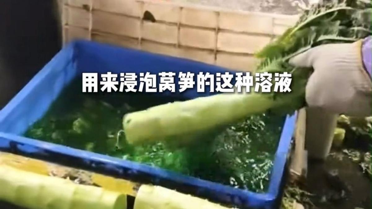 影音/大陸食安再出包 甘肅菜心浸泡色素添賣相