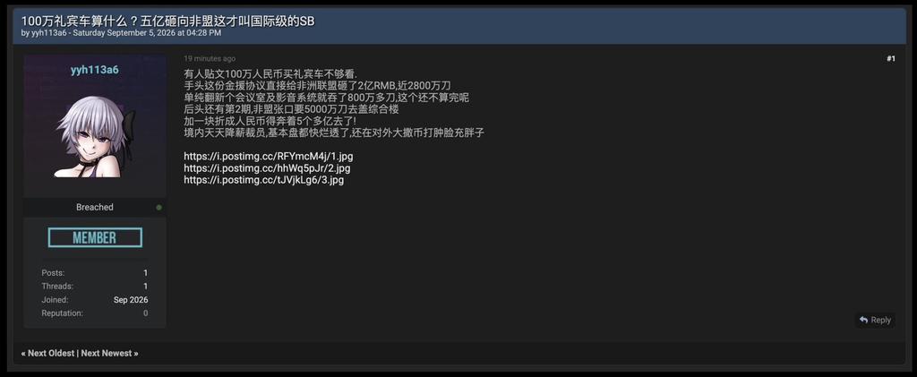 疑似中國民眾不滿政府對於基層的漠視不為而洩漏機密文件(圖/翻攝自BFST@Gcy54320)
