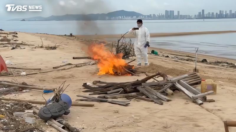 9月5日金門海漂豬今天確認是非洲豬瘟,為今年第4例。(圖/金門岸巡隊提供)