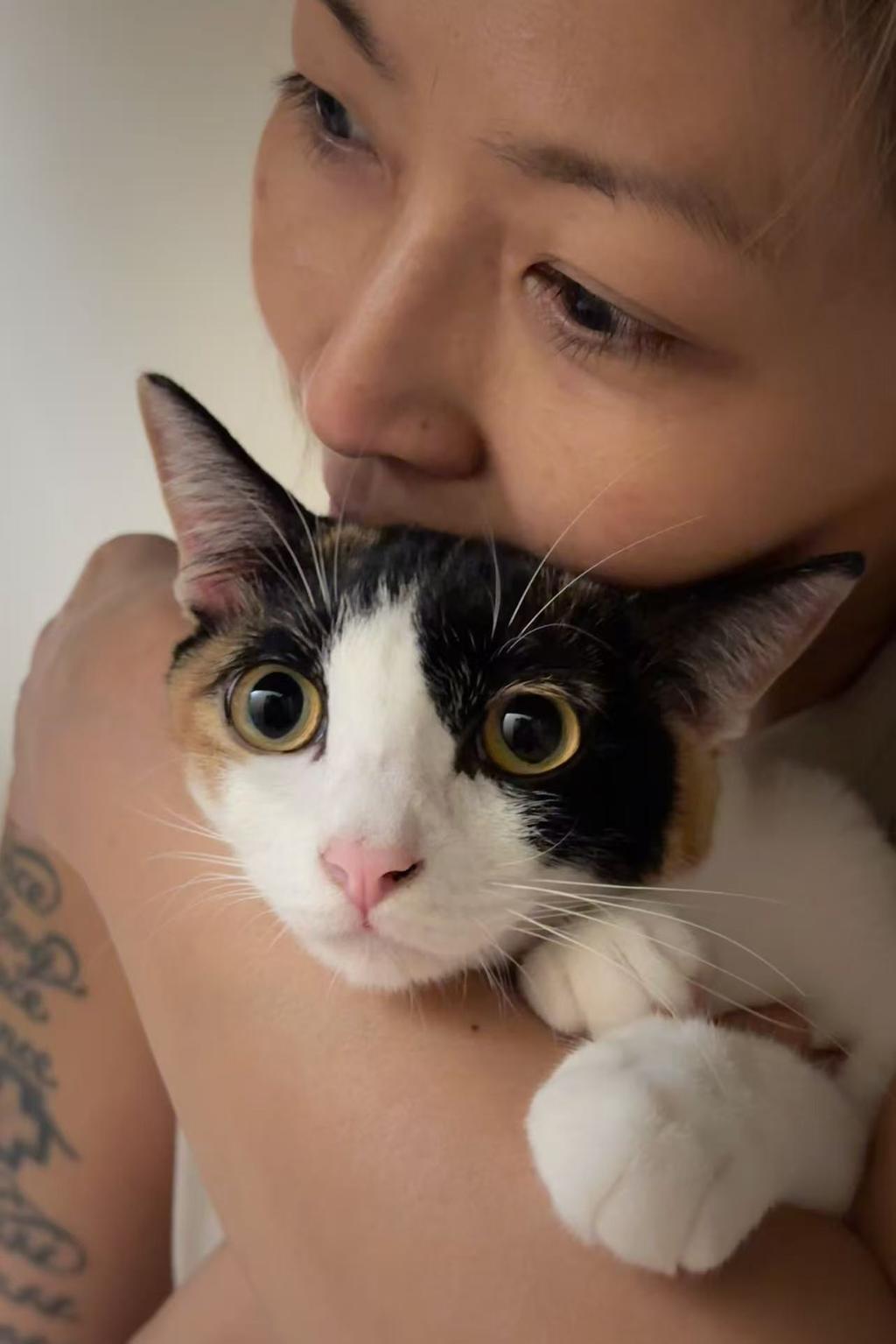 林曉培與愛貓凱特。(圖/杰思國際娛樂提供)