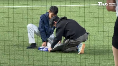 大巨蛋驚見「老鼠衝進場」!她揭4大管理漏洞:一隻恐代表一窩